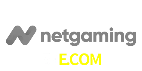 NetGaming